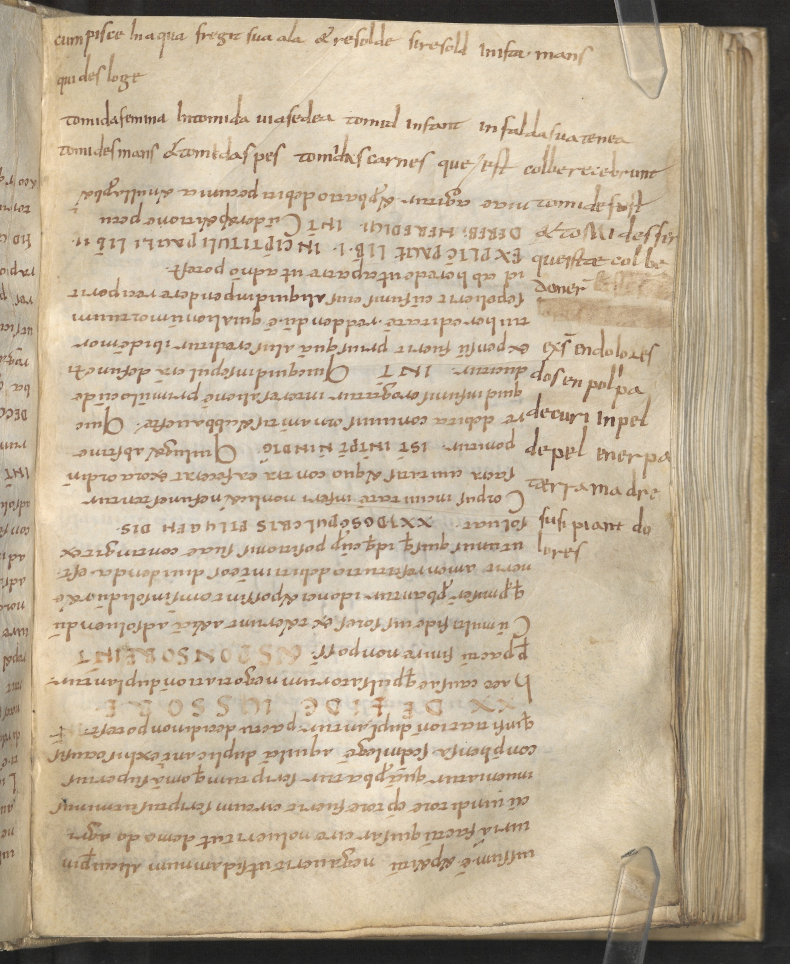 Manuscript image